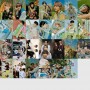 NCT Dream 54 Adet Çift Taraflı Fotokart Seti